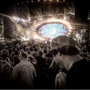 Meet your Posher, Nicholas